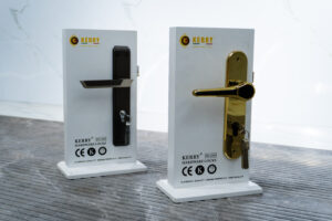 Main door handles - Image 3